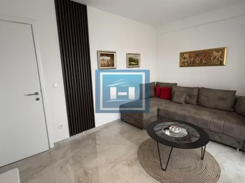 Izdavanje, jednosoban stan, 45m², Aqua park, Jagodina - image 2