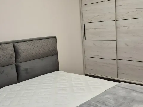 Izdavanje, jednosoban stan, 50m², Central Point, Podgorica - image 4