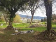 Prodaja, plac, 4800m², Herceg Novi, Crna Gora - image 1