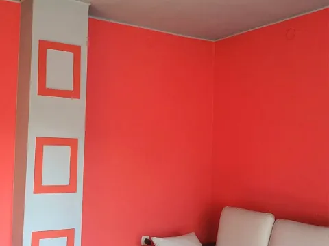 Prodaja, kuća, 210m², Bečej, Novi Sad - image 18