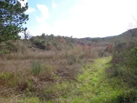 Pogled na prirodno okruženje i zelenilo oko nekretnine. - image 4