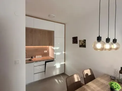 Izdavanje, jednosoban stan, 45m², City Kvart, Podgorica - image 2
