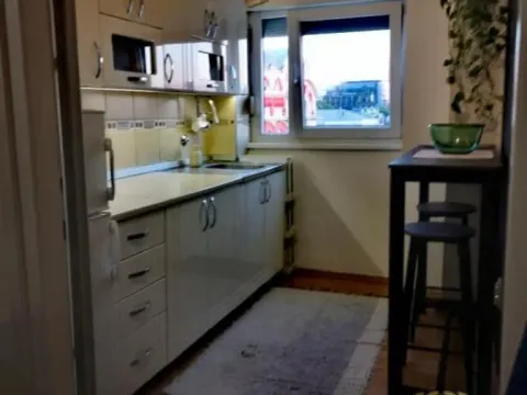 Izdavanje, dvosoban stan, 50m², Stari Grad, Beograd - image 3