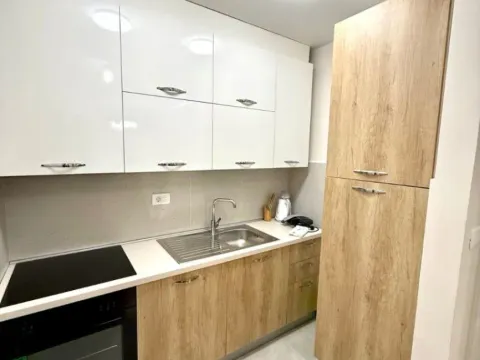 Izdavanje, jednosoban stan, 47m², Central Point, Podgorica - image 2