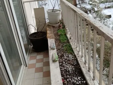 Izdavanje, dvosoban stan, 78m², Čukarica, Beograd - image 18