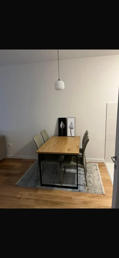 Izdavanje, jednosoban stan, 43m², Central Point, Podgorica