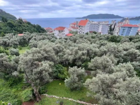 Prodaja, plac, 1000m², Bečići, Budva