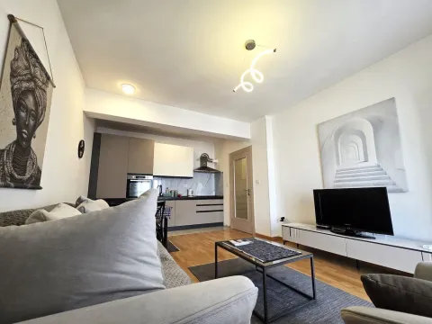 Izdavanje, stan, 49m², Stara Varoš, Podgorica - image 4