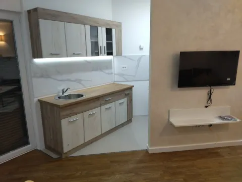 Small modern kitchen with wooden elements and built-in sink. - image 8