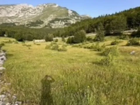 Prodaja, plac, 800m², Motički gaj, Žabljak - image 3