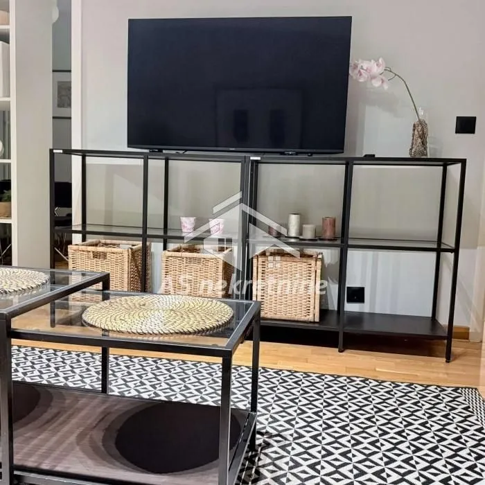 Rent, two bedroom apartment, 62m², Novi Beograd Blok 67, Novi Beograd Sve Podlokacije