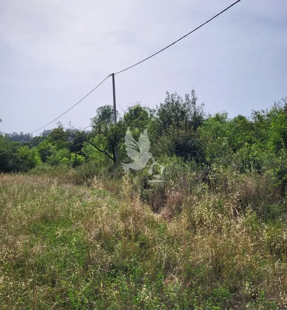 Prodaja, plac, 6900m², Mladenovac, Beograd