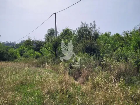 Prodaja, plac, 6900m², Mladenovac, Beograd - image 3