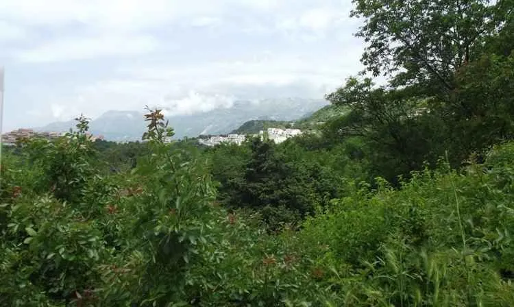 Pogled na okolnu prirodu, zelenilo i planine u daljini.