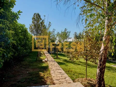 Izdavanje, kuća, 300m², Zagorič, Podgorica - image 14