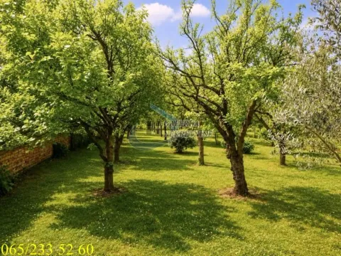 Prodaja, kuća, 190m², Centar, Inđija - image 20