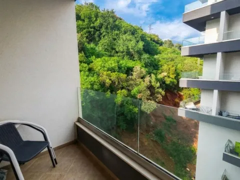 Sale, studio apartment, 32m², Golubovina, Budva - image 4