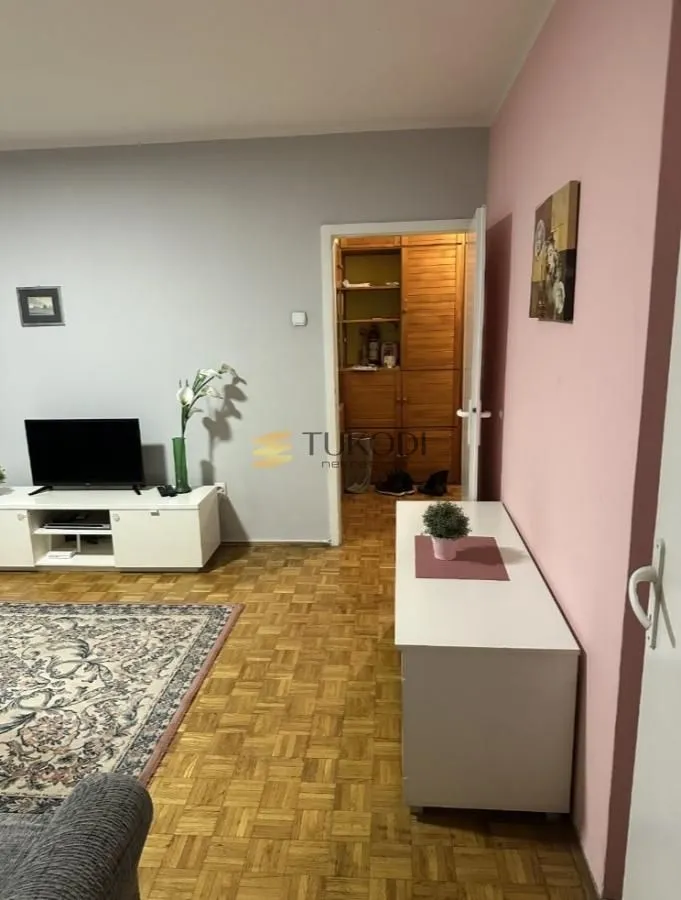 Rent, one bedroom apartment, 46m², Novi Beograd Blok 21, Novi Beograd Sve Podlokacije