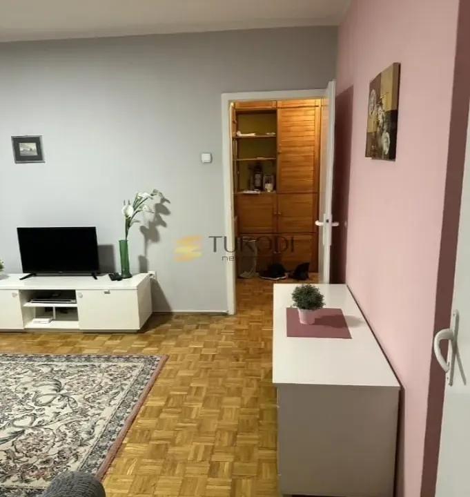 Izdavanje, jednosoban stan, 46m², Novi Beograd Blok 21, Novi Beograd Sve Podlokacije