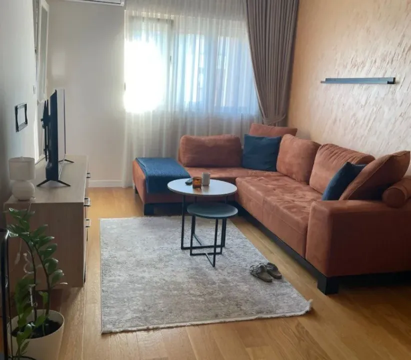 Izdavanje, jednosoban stan, 50m², Central Point, Podgorica
