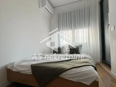 Izdavanje, dvosoban stan, 44m², Novi Beograd Blok 67, Novi Beograd Sve Podlokacije - image 9