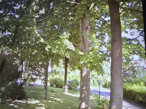 Izdavanje, trosoban stan, 100m², Savski Venac, Beograd - image 2