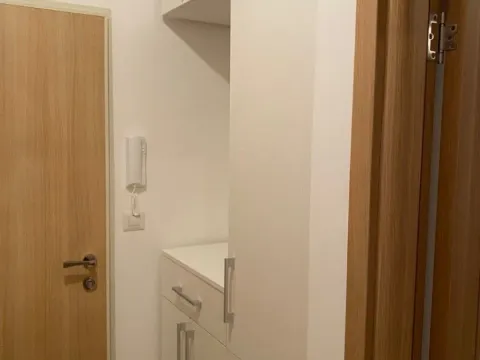 Prodaja, jednosoban stan, 50m², Stari Aerodrom, Podgorica - image 12