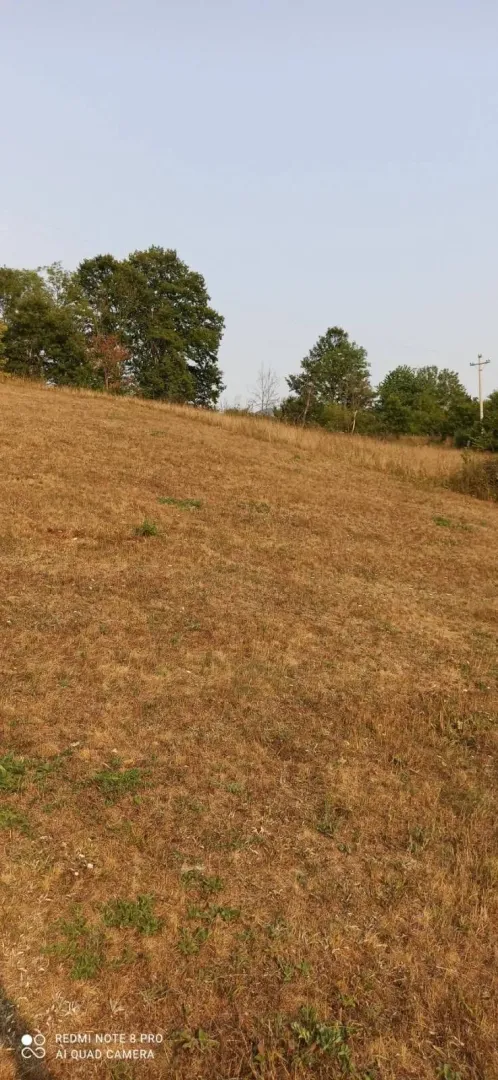 Travnati plac na blagom nagibu okružen drvećem.