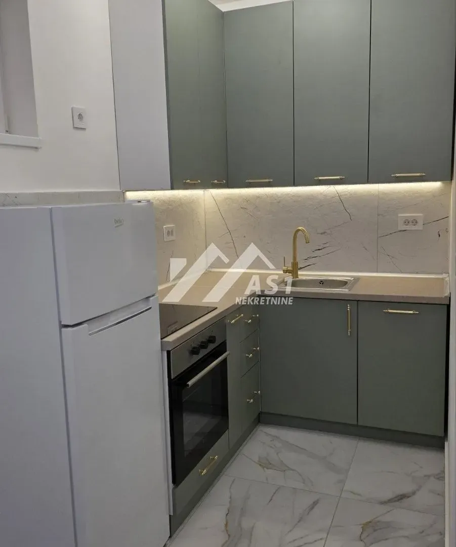 Izdavanje, dvosoban stan, 45m², Veternik, Novi Sad Sve Podlokacije