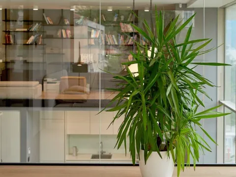 Prodaja, dvosoban stan, 100m², Budva, Crna Gora - image 6