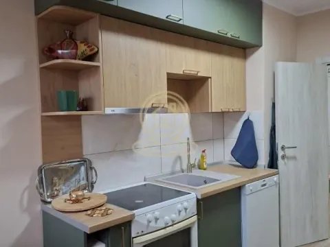 Izdavanje, dvosoban stan, 55m², Erdoglija, Kragujevac - image 8
