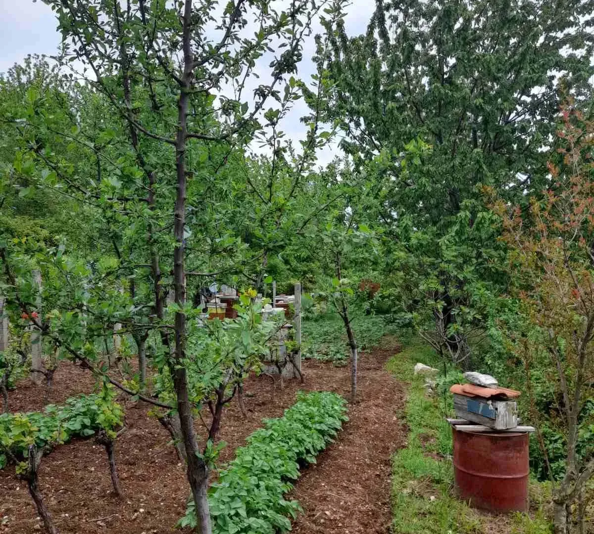 Prodaja, plac, 700m², Herceg Novi, Crna Gora