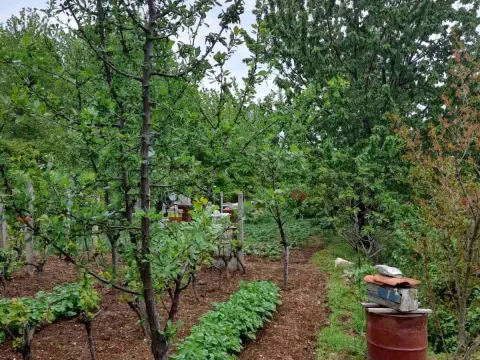 Prodaja, plac, 700m², Herceg Novi, Crna Gora - image 8