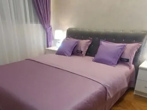 Izdavanje, dvosoban stan, 50m², Stari Grad, Beograd - image 2
