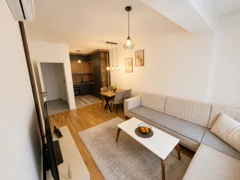 Rent, one bedroom apartment, 45m², Stari Aerodrom, Podgorica - image 4