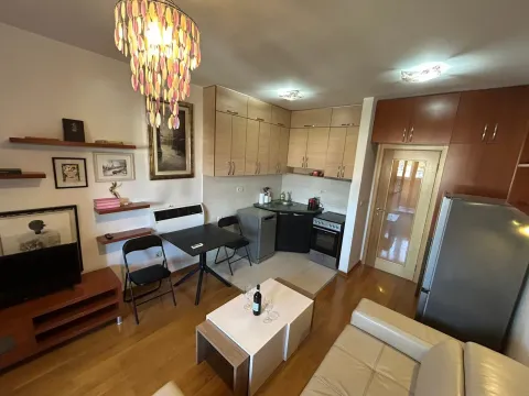 Living room with a dining table and a kitchen area in the corner. - image 6