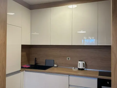 Izdavanje, jednosoban stan, 42m², Gorica C, Podgorica - image 7