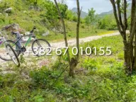 Prodaja, plac, 5000m², Sotonići, Bar - image 5