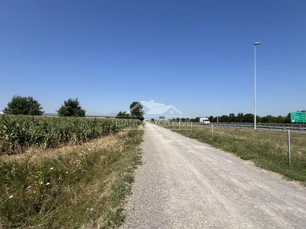 Prodaja, plac, 12000m², Dobanovci, Surčin