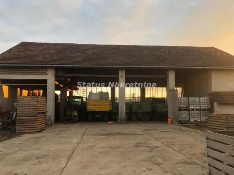 Sale, house, 155m², Bački Petrovac, Novi Sad - image 4