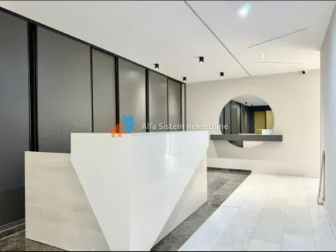 Izdavanje, dvosoban stan, 50m², Vračar Sve Podlokacije, Beograd - image 12