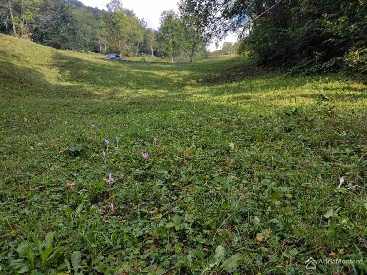 Prodaja, plac, 1300m², Kolašin, Crna Gora