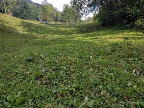 Prodaja, plac, 1300m², Kolašin, Crna Gora - image 2