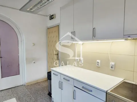 Izdavanje, kuća, 343m², Neimar, Vračar Sve Podlokacije - image 10