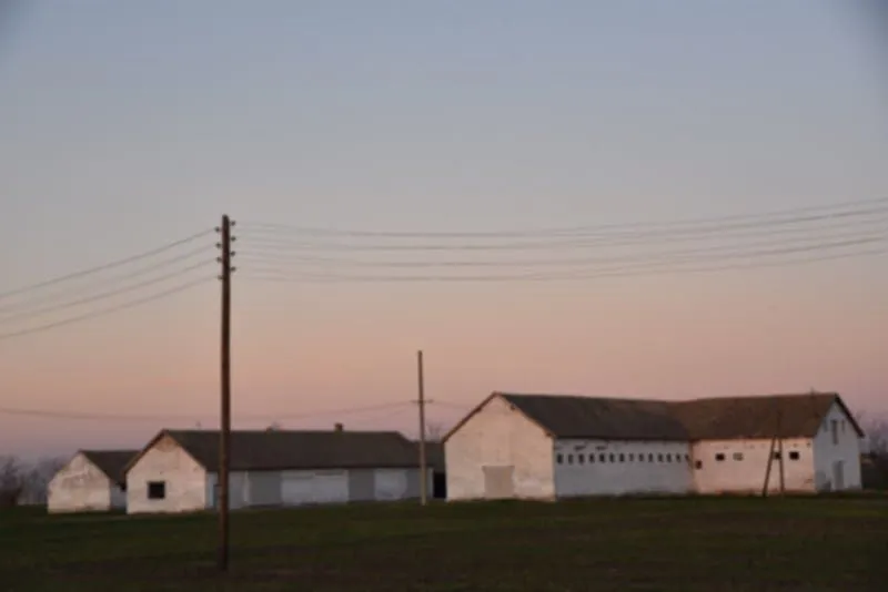 Prodaja, plac, 98000m², Vrbas, Novi Sad