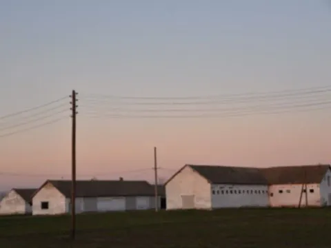 Prodaja, plac, 98000m², Vrbas, Novi Sad - image 1