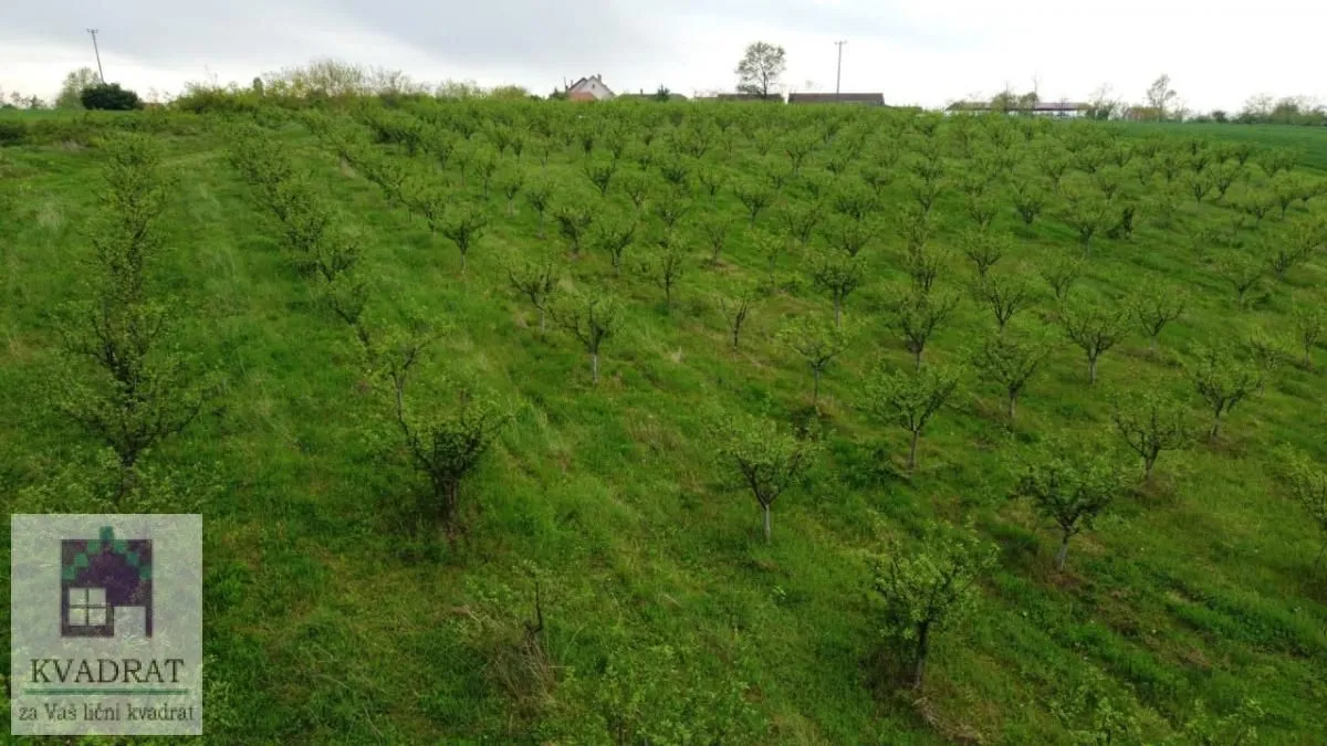 Prodaja, plac, 38000m², Kožuar, Ub