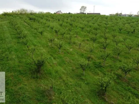 Sale, land lot, 38000m², Kožuar, Ub - image 16