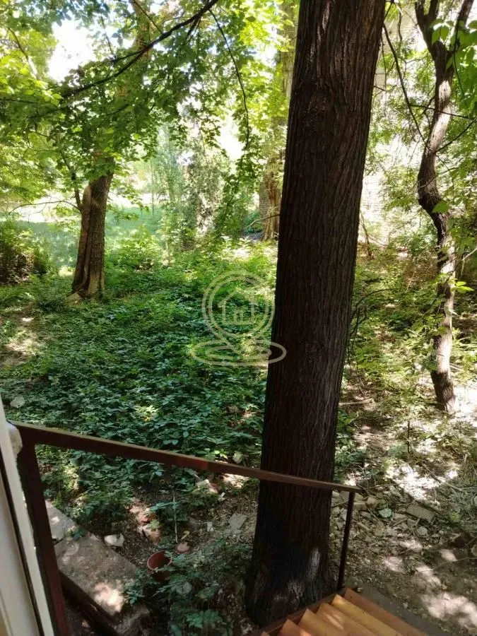 Stepenište koje vodi u dvorište puno zelenila i drveća.