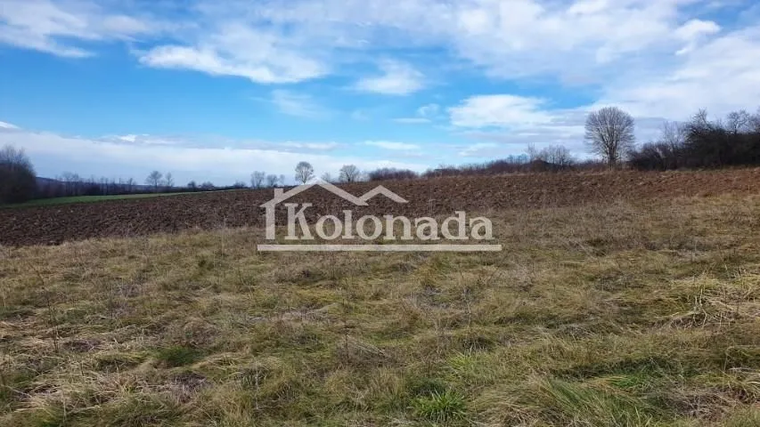 Sale, land lot, 8000m², Dučina, Sopot